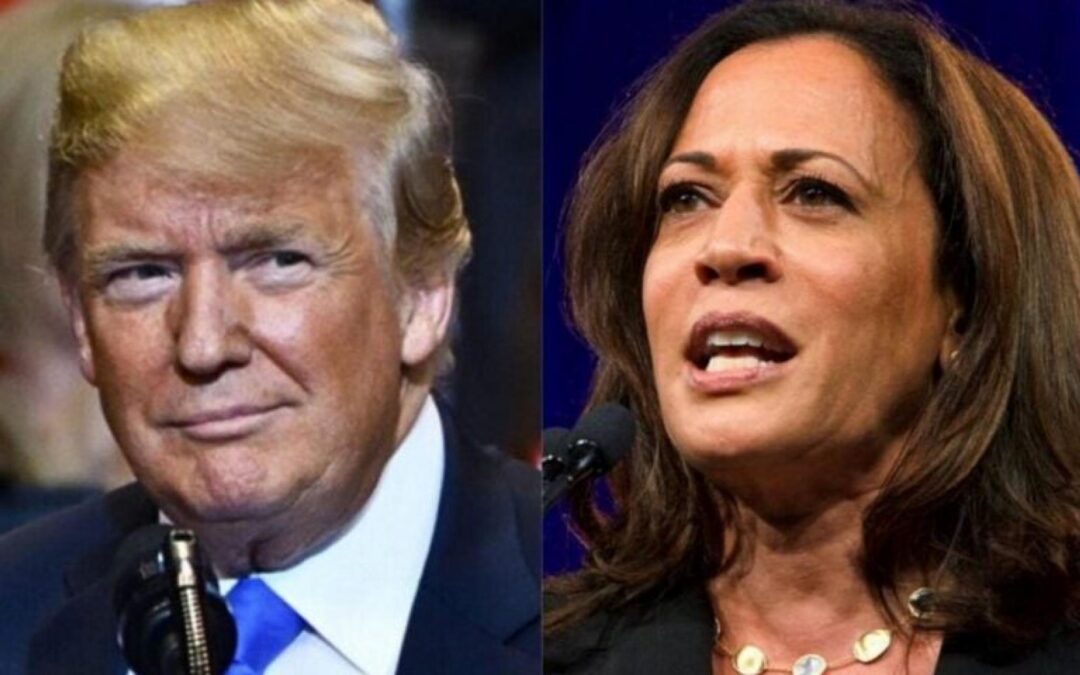 Harris Vs. Trump: Here’s What Top 6 Swing States Are Searching For On Google