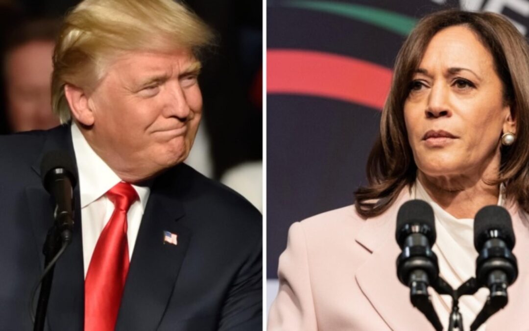 Trump’s Niece Says Harris Campaign’s Success Is Getting To Ex-President: Latest Florida Poll Finds Vice President Winning Hands Down And Topping Charts In These 2 Categories