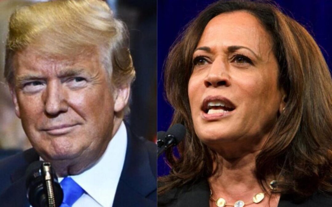 Trump Vs. Harris: Vice President Nearly Doubles Lead In Less Than A Month, Strongly Outperforms Biden’s Poll Numbers