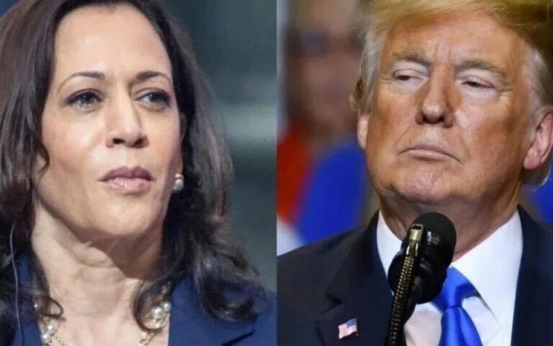 Trump Vs. Harris: As Vice President Builds Lead In Michigan And Inches Ahead In Pennsylvania, Pollster Says ‘Get-Out-The-Vote Strategies’ Crucial In Highly Competitive Race