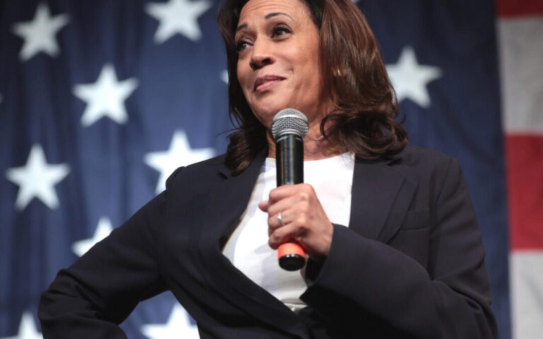 Trump Vs. Harris: Vice President Widens Lead On Key Election Issue That Is Democrats’ Achilles’ Heel As Debate Performance Establishes Her As Better Economic Steward