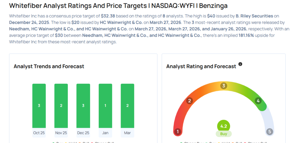 These Analysts Cut Their Forecasts On WhiteFiber Following Q4 Loss